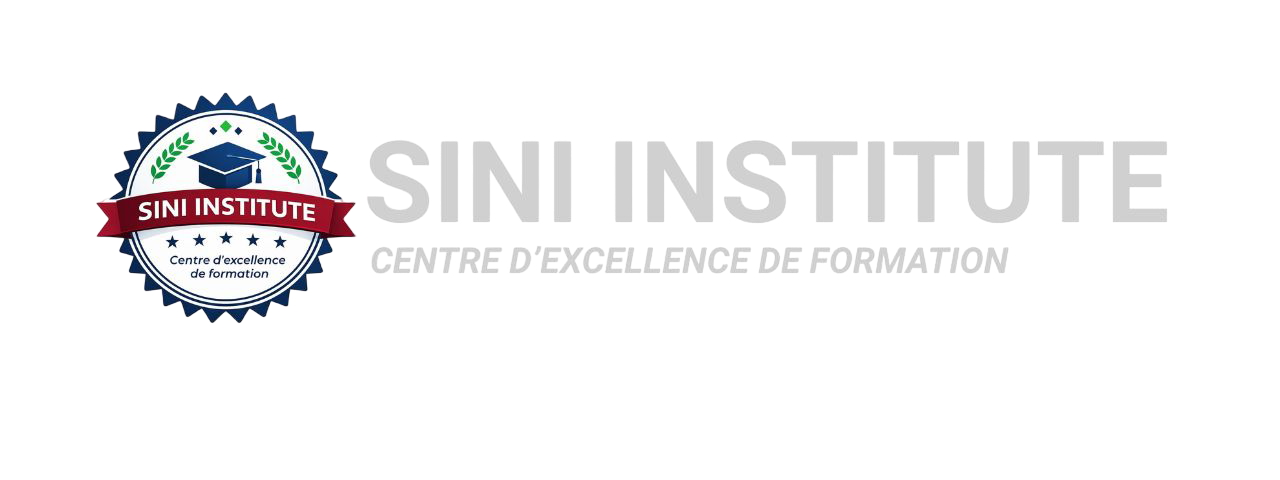 SINI Institute